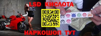 СК Камышлов