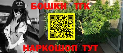 СК Камышлов